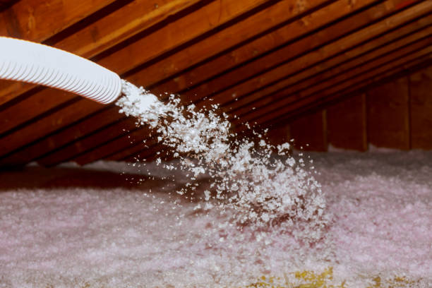Best Cellulose Insulation in Maypearl, TX