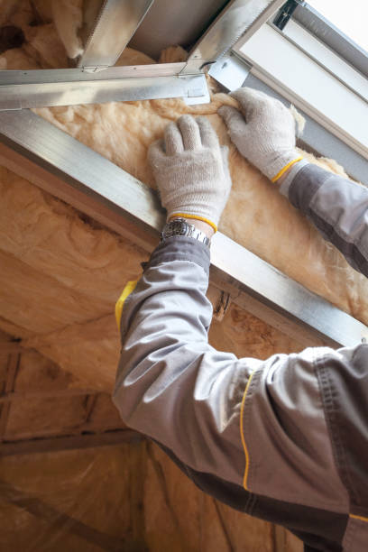 Best Eco-Friendly Insulation in Maypearl, TX