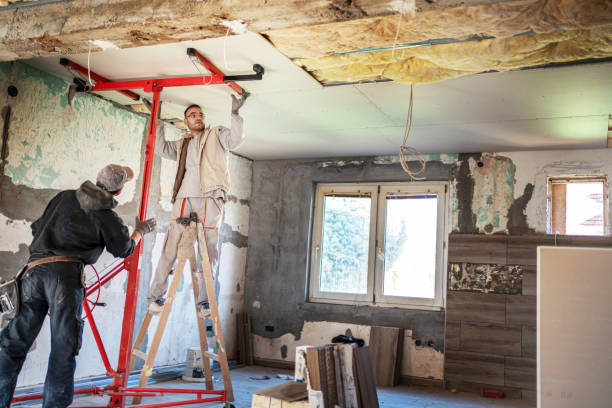 Best Insulation Maintenance and Repair in Maypearl, TX