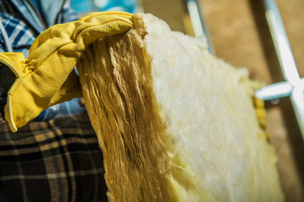Best Commercial Insulation in Maypearl, TX