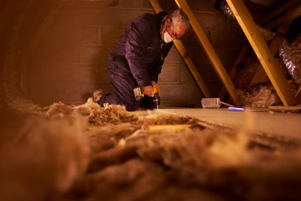 Best Specialized Insulation Services in Maypearl, TX